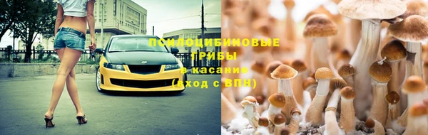 гидропоника Алексеевка