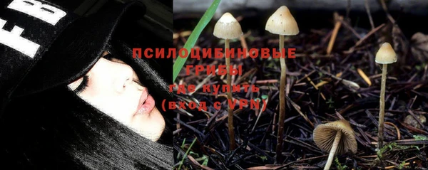 гидропоника Алексеевка